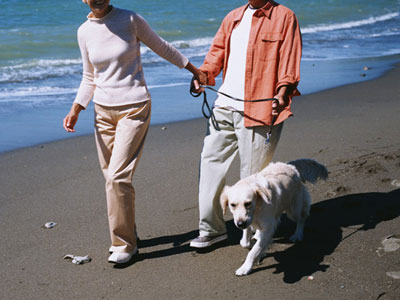 海岸を犬連れ歩く熟年男女
